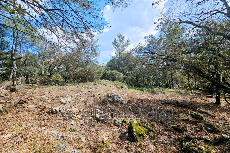 Photo n°6 - Vente terrain Camps-la-Source 83170 - 298 500 €