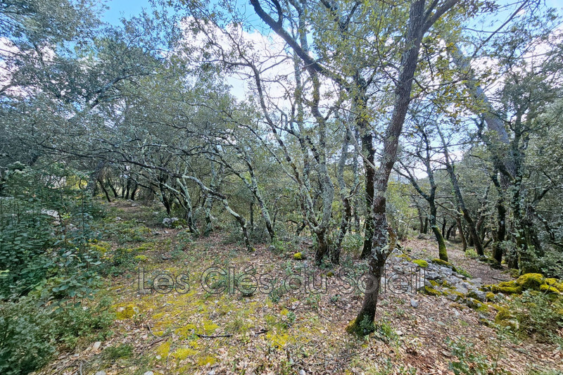 Photo n°4 - Vente terrain Camps-la-Source 83170 - 298 500 €