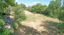 Vente terrain Carcès Vente terrain Carcès