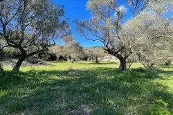 Photos  Terrain à vendre Toulon 83200