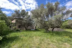 Vente terrain Toulon  Vente terrain Toulon