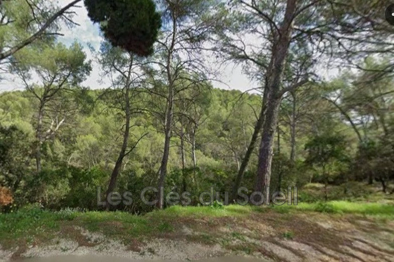 terrain  Bandol   20012&nbsp;m&sup2; -   