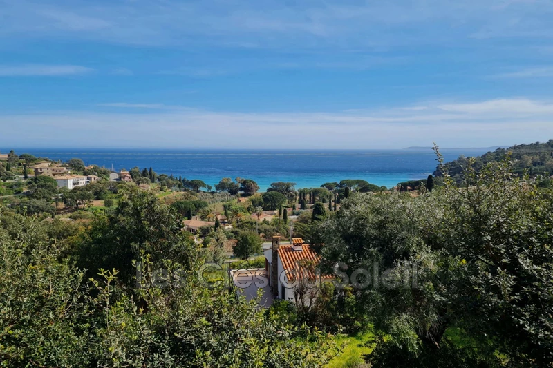 maison  9 pièces  Le Lavandou   300&nbsp;m&sup2; -   