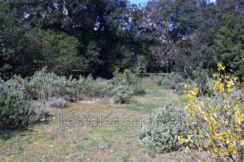 Photo n°11 - Vente maison Flassans-sur-Issole 83340 - 590 000 €