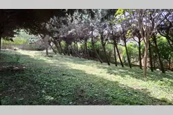Vente maison La Garde  