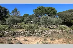 Vente villa Brignoles  