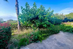 Vente maison de village Hyères  