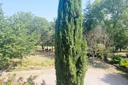 Vente villa Brignoles  