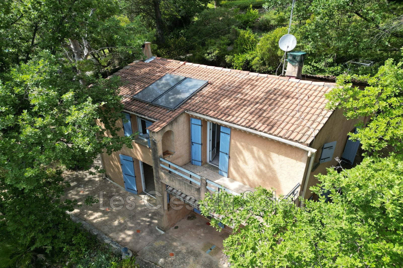 Foto