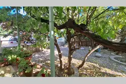 Vente maison de ville Toulon  