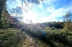 Vente maison Tourves  