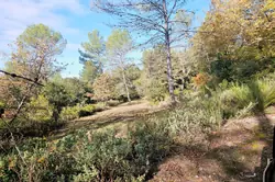 Vente maison Tourves  