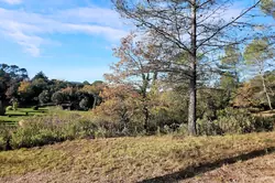 Vente maison Tourves  