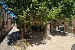 Vente appartement Solliès-Pont  