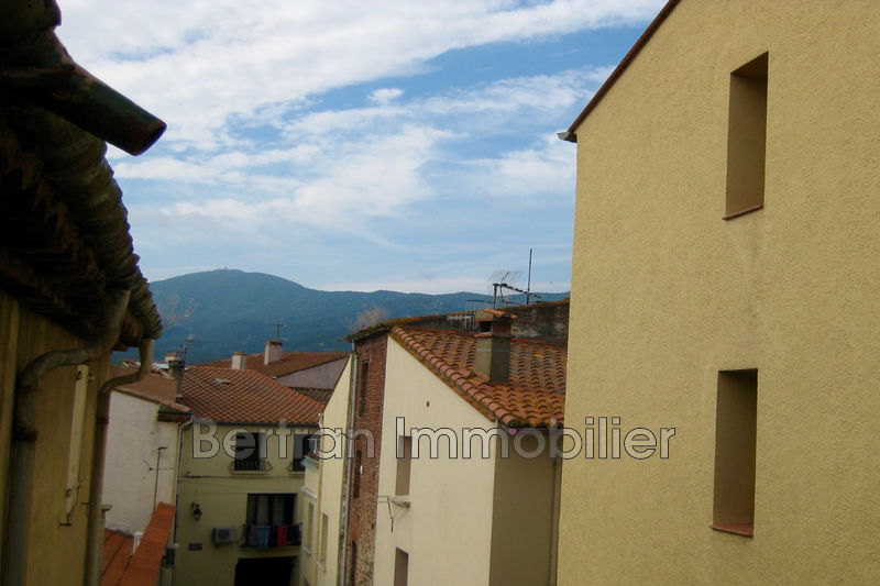 Photo Appartement Argelès-sur-Mer achat appartement 2 pièces 35 m²