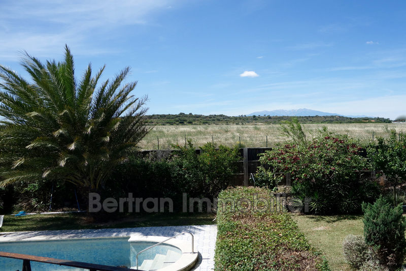 Photo Maison Rivesaltes achat maison 4 chambres 202 m²