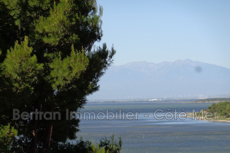 Photo Maison Leucate Falaise, achat maison 1 chambre 38 m²