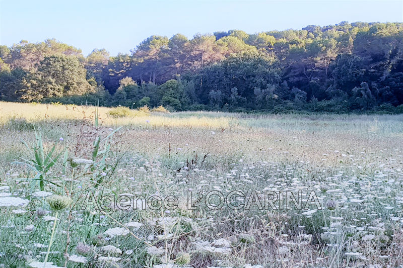 Photo Terrain Mougins achat terrain 1688 m²