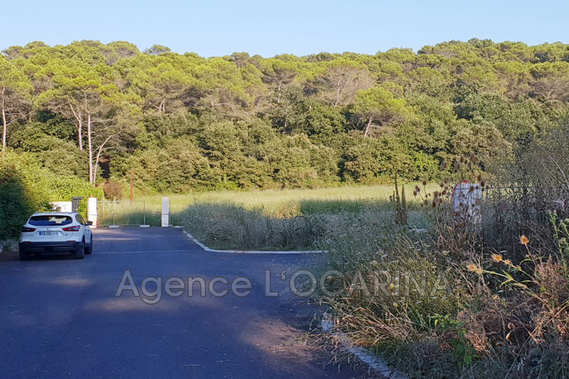 Photo Terrain Mougins achat terrain 1688 m²