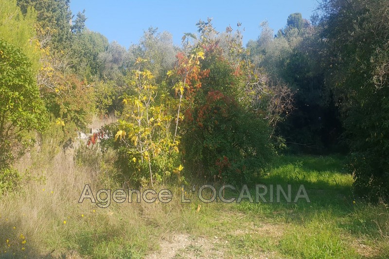 Vente terrain Le Cannet  
