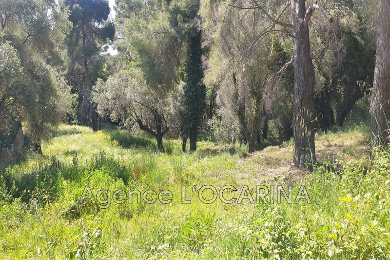 Vente terrain Mougins  