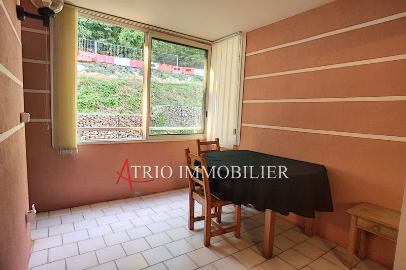 Photo Appartement Cagnes-sur-Mer achat appartement 2 pièces 28 m²