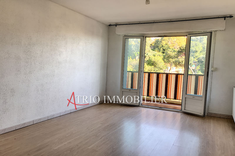 Photo Appartement Cagnes-sur-Mer Centre-ville, achat appartement 2 pièces 47 m²