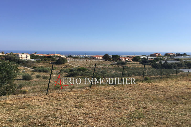 Photo Terrain Cagnes-sur-Mer Montaleigne, achat terrain 6260 m²