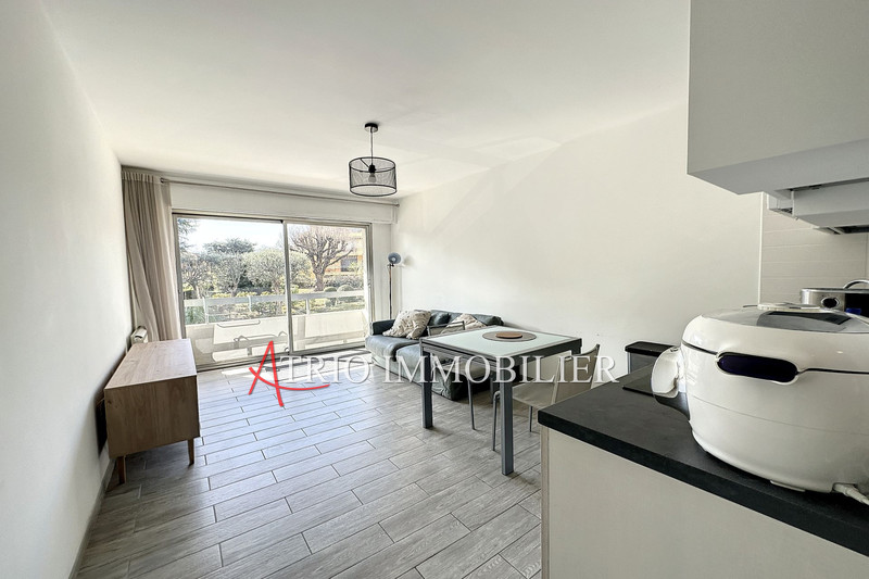 Photo Apartment Cagnes-sur-Mer Cros de cagnes,   to buy apartment  2 rooms   33&nbsp;m&sup2;