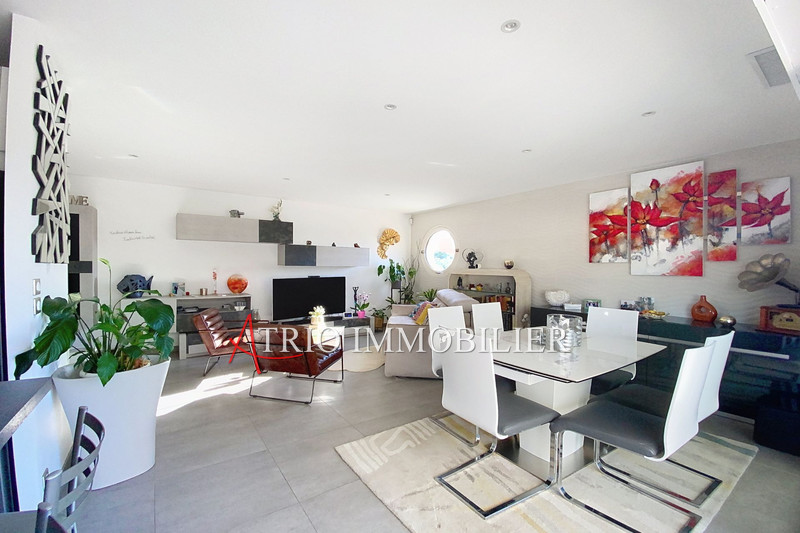 Vente villa sur le toit Cagnes-sur-Mer  