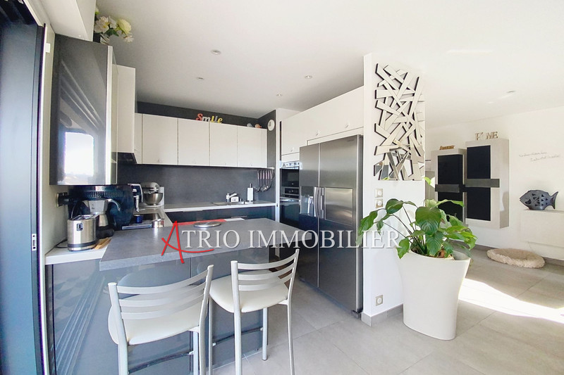 Vente villa sur le toit Cagnes-sur-Mer  