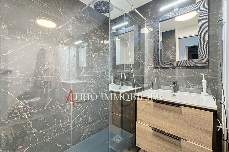 Vente appartement Villeneuve-Loubet  