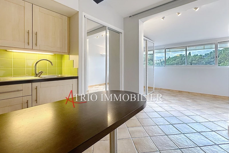 Vente appartement Cagnes-sur-Mer  