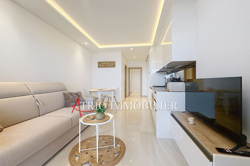 Vente appartement Villeneuve-Loubet  