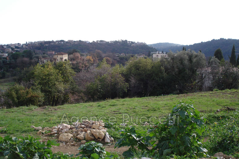 Photo Terrain Vence Hauteurs, achat terrain 1312 m²