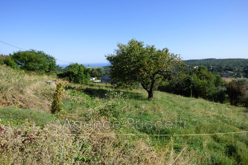 Photo Terrain Vence Hauteurs, to buy terrain 1215 m²