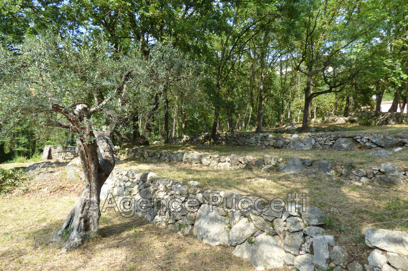 Photo Land Tourrettes-sur-Loup Ouest, to buy land 1108 m²