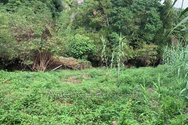 Photo Terrain Vence Hauteurs, achat terrain 1112 m²
