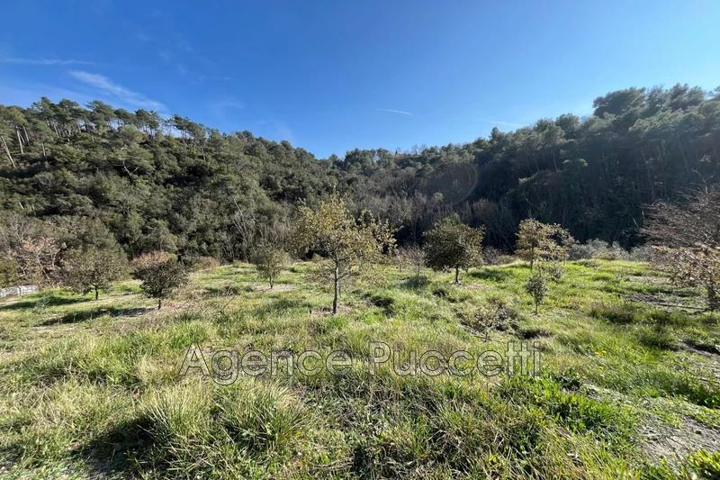 Photo Terrain non constructible Vence Est,   achat terrain non constructible   8995&nbsp;m&sup2;