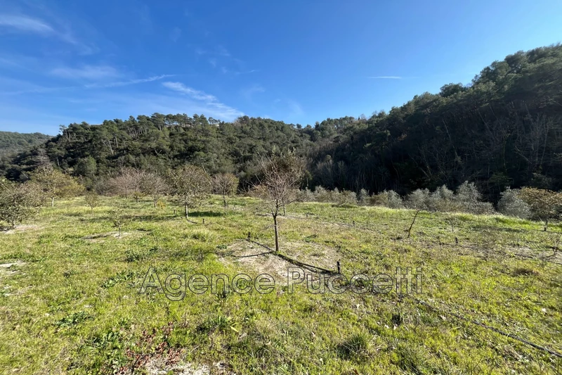 Vente terrain non constructible Vence  