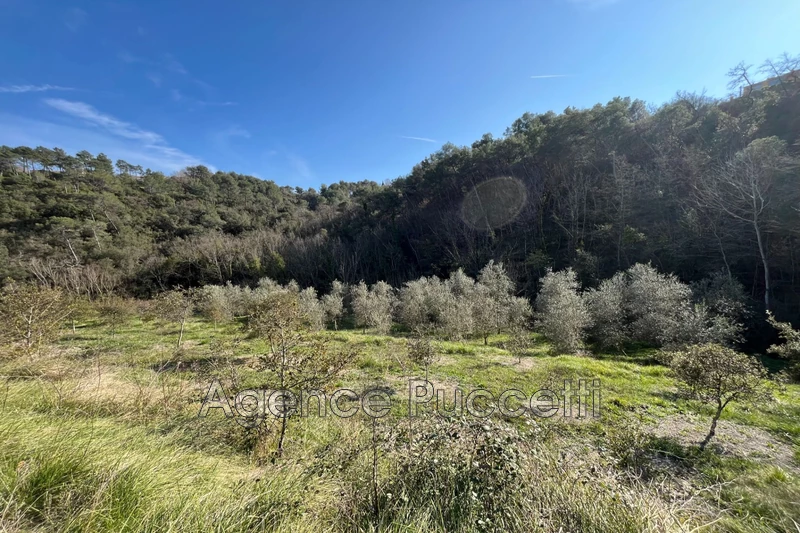Vente terrain non constructible Vence  