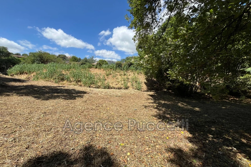 Vente terrain Vence  