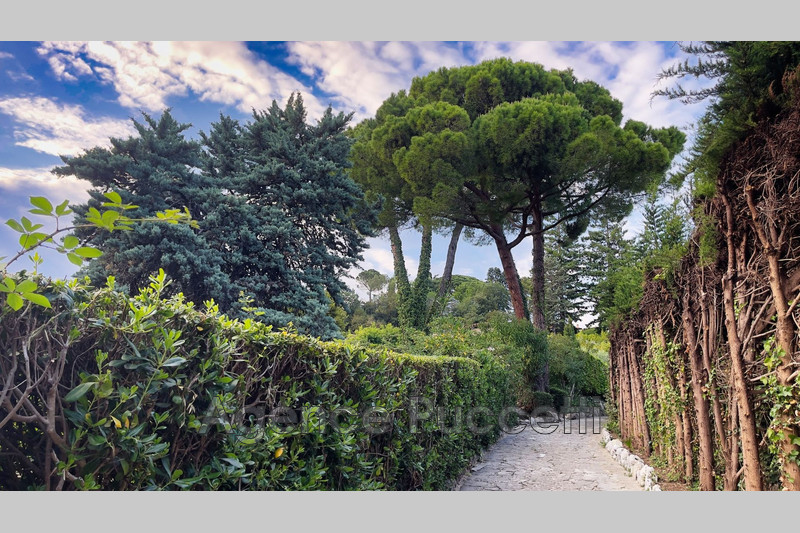 Vente maison de caractère Vence  