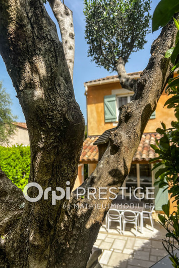 Vente villa Valbonne  