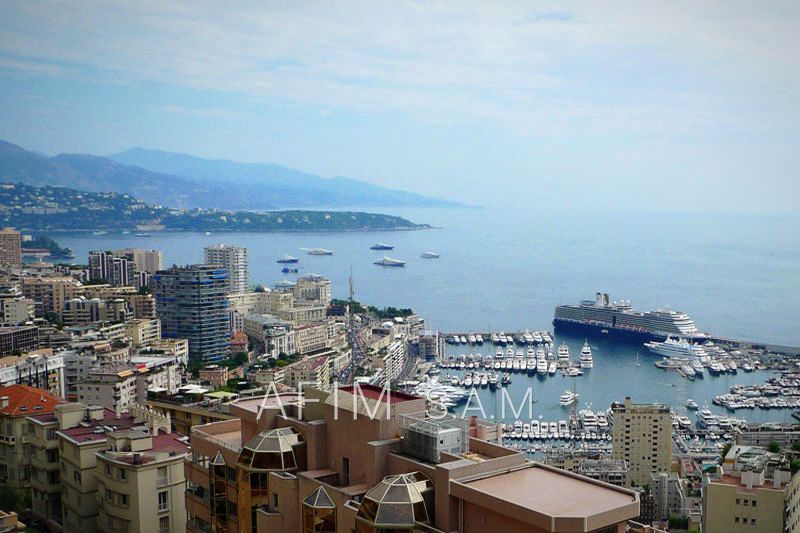 vente Monaco Exotic garden Apartment Monaco Jardin exotique, Rentals apartment 6 rooms 475 m²