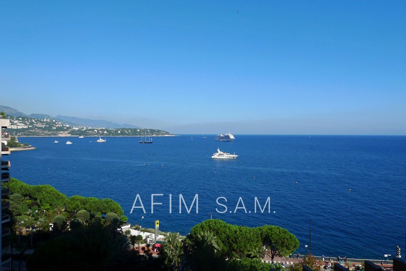 vente Monaco Golden square Apartment Monaco Carré d'or, Rentals apartment 3 rooms 164 m²