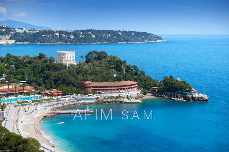 vente Monaco Apartment Monaco Rentals apartment 4 rooms 200 m²