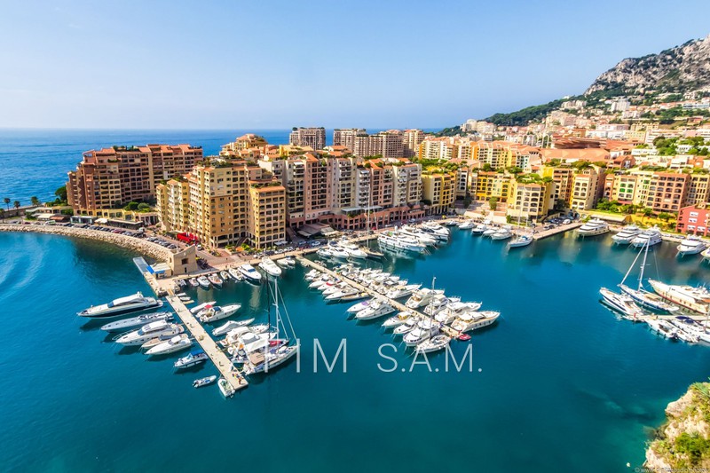 vente Monaco Fontvieille Apartment Monaco Fontvieille, Rentals apartment 5 rooms 305 m²