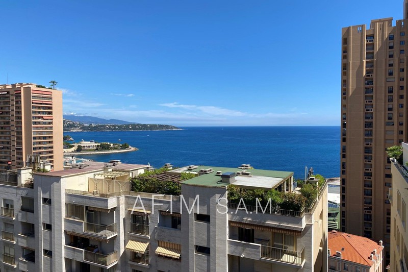 vente Monaco Monte-carlo Bureau Monaco Monte-carlo, Occupational bureau