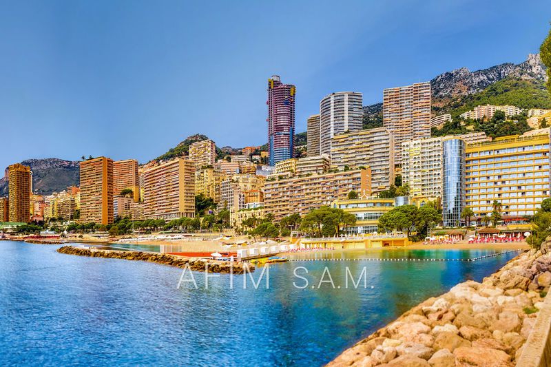 vente Monaco Larvotto Monaco Larvotto, Occupational 100 m²